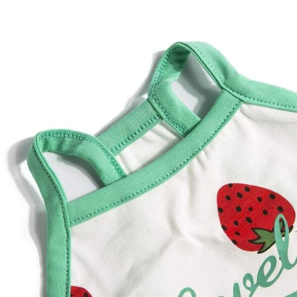 Frenchie World Shop Lovely French Bulldog Dress and T-shirt