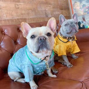 Frenchie World Shop Luxurious Satin French Bulldog Pajamas