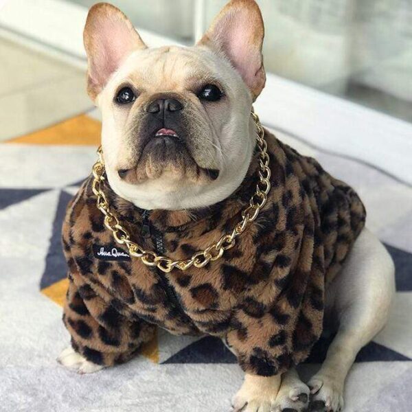 Frenchie World Shop Luxury Leopard French Bulldog Coat