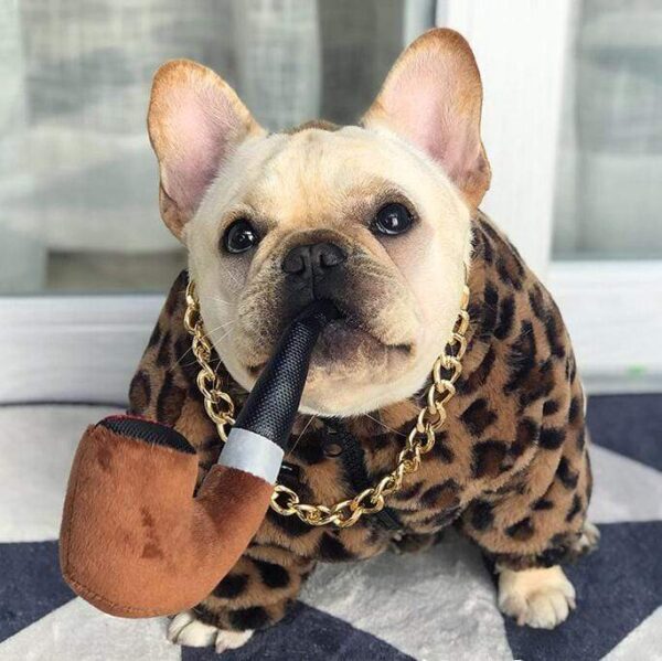 Frenchie World Shop Luxury Leopard French Bulldog Coat