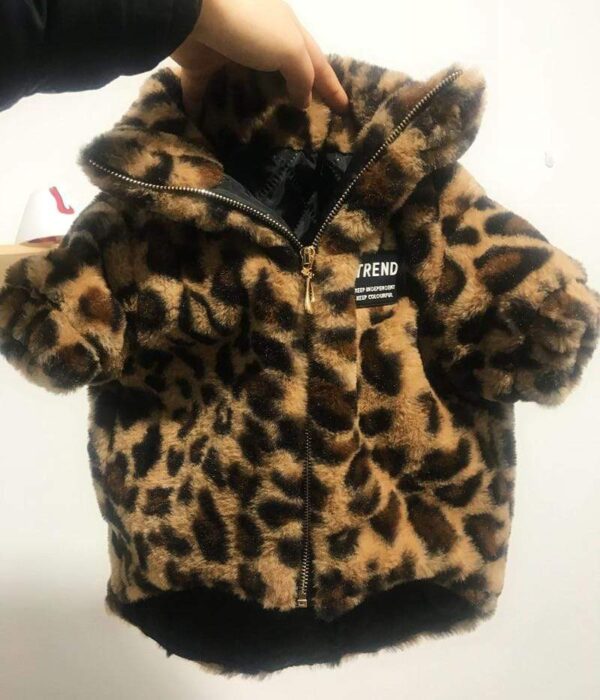 Frenchie World Shop Luxury Leopard French Bulldog Coat