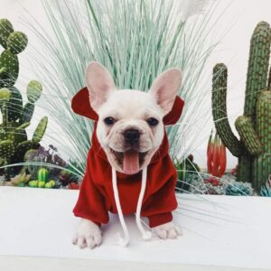 Frenchie World Shop Mouse Ears French Bulldog Hoodie