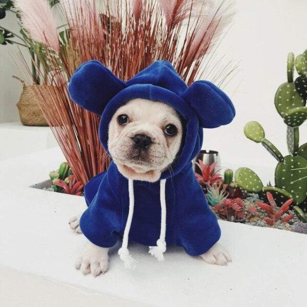 Frenchie World Shop Blue / S Mouse Ears French Bulldog Hoodie