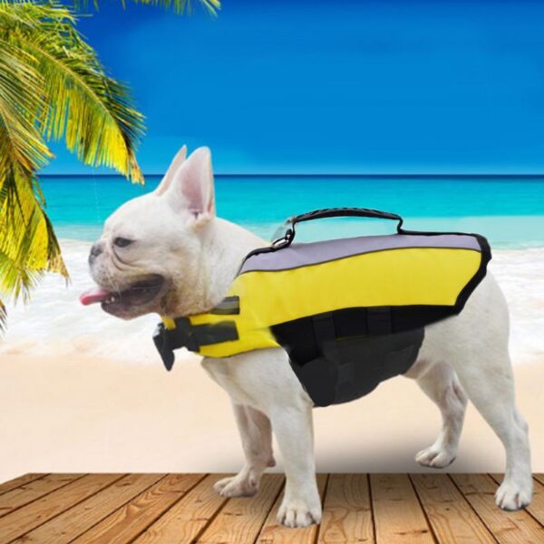 Frenchie World Shop Yellow / S Neon French Bulldog Life Jacket