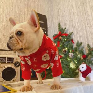 Frenchie World Shop New Dog Christmas Sweater for Small Medium Dogs New Year Red French Bulldog Clothes Winter Xmas Clothing Yorkie Costumes