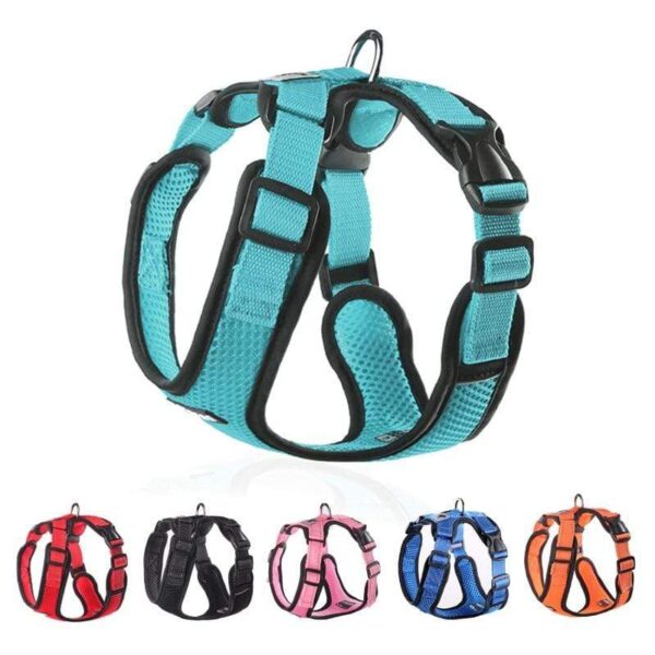 Frenchie World Shop No-pull Breathable French Bulldog Harness