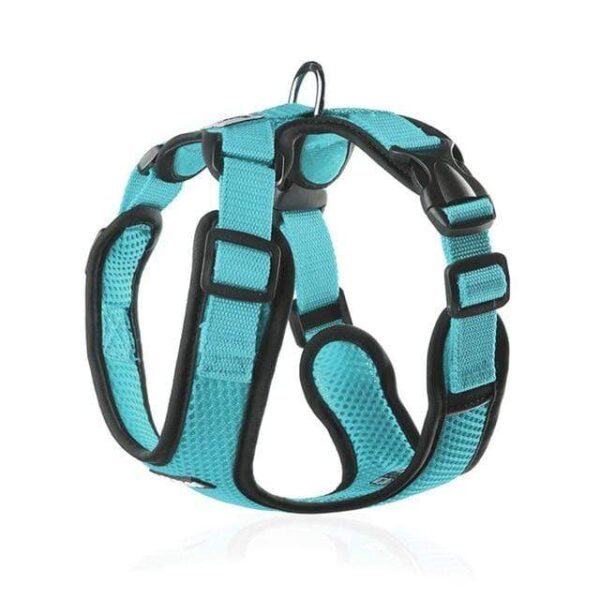 Frenchie World Shop turquoise / L Chest 48-60cm No-pull Breathable French Bulldog Harness