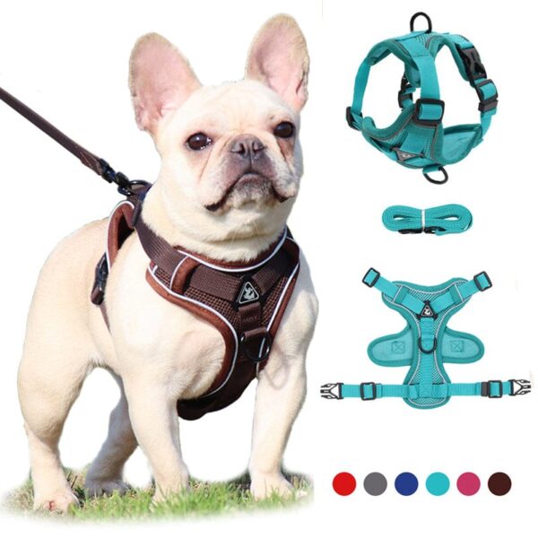Frenchie World Shop No Pull Dog Harness and Leash Set Adjustable Pet Harness Vest For Small Dogs Cats Reflective Mesh Dog Chest Strap French Bulldog