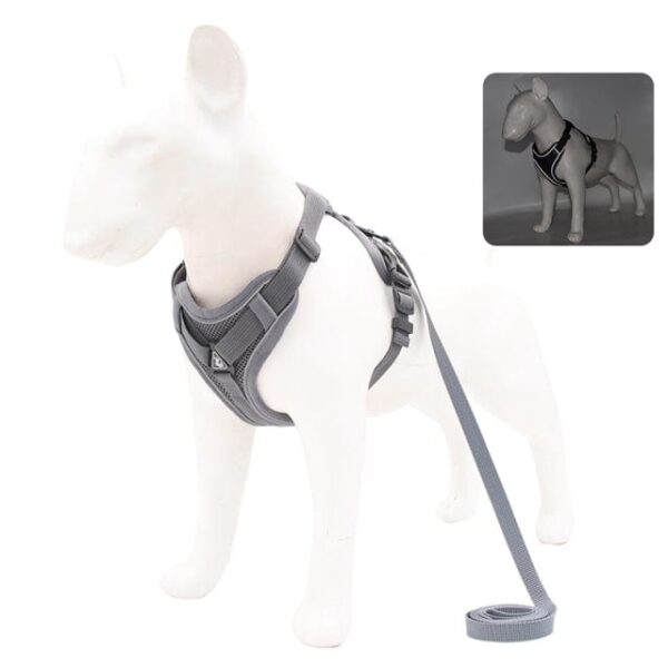 Frenchie World Shop Gray / XL No Pull Dog Harness and Leash Set Adjustable Pet Harness Vest For Small Dogs Cats Reflective Mesh Dog Chest Strap French Bulldog
