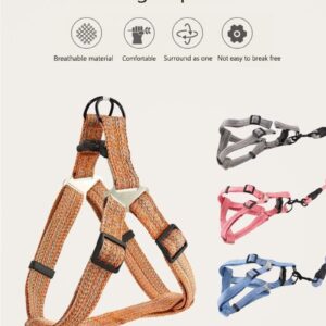 Frenchie World Shop No-pull Harness and Leash Set by Frenchie World