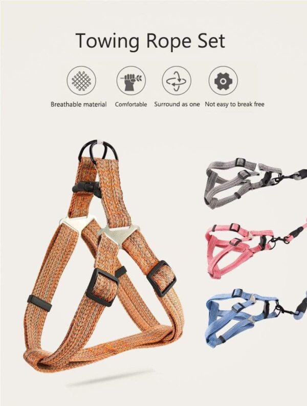 Frenchie World Shop No-pull Harness and Leash Set by Frenchie World