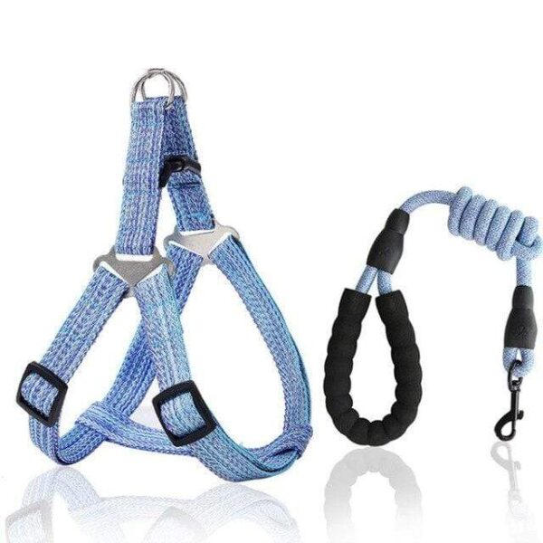 Frenchie World Shop blue / XL No-pull Harness and Leash Set by Frenchie World