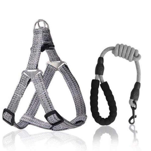 Frenchie World Shop gray / XL No-pull Harness and Leash Set by Frenchie World