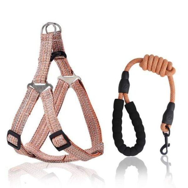 Frenchie World Shop orange / XL No-pull Harness and Leash Set by Frenchie World