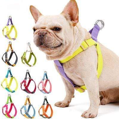 Frenchie World Shop No Pull Nylon Pet Leashes Dog Harness And Leash For Small Dogs French Bulldog Chihuahua Lead Leash And Collar Set For Yorkies