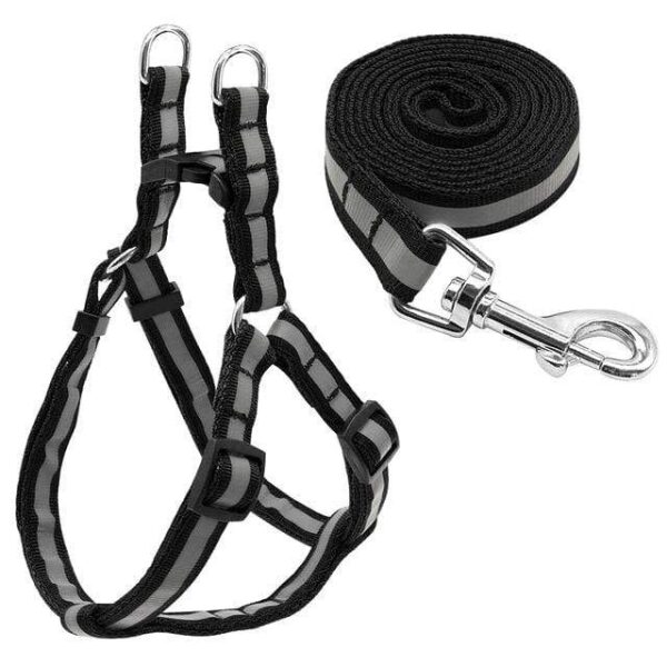 Frenchie World Shop Dog Accessories Black / S "NO PULL" Reflective Dog Harness and Leash Set