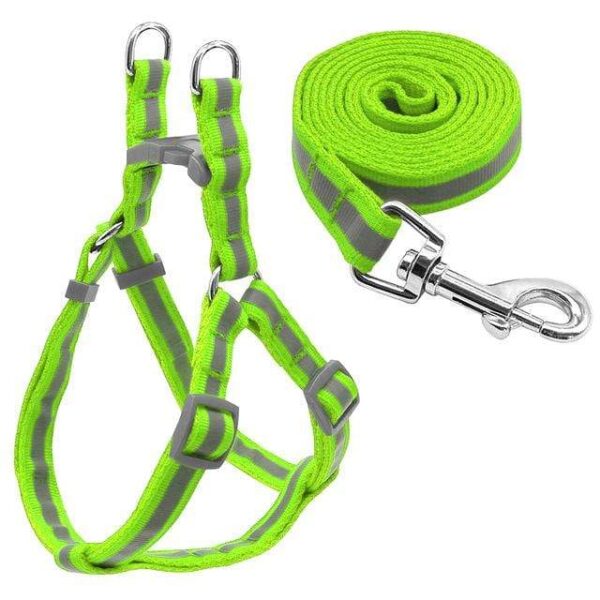 Frenchie World Shop Dog Accessories Green / S "NO PULL" Reflective Dog Harness and Leash Set