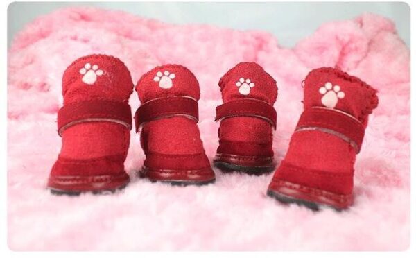 Frenchie World Shop Dog shoes wine red / 1 Non-slip winter Frenchie snow boots