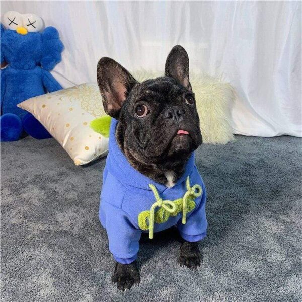 Frenchie World Shop OOOPS Winter French Bulldog Hoodie