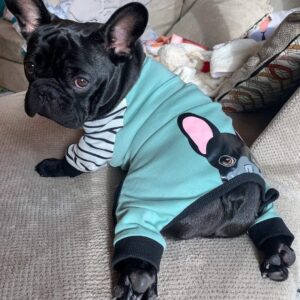 Purple Uranus Leashes, Collars & Petwear Organic French Bulldog Pajamas (black)