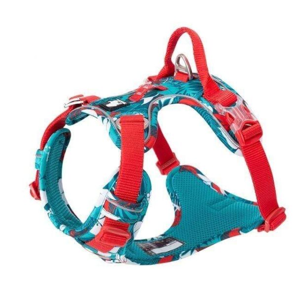 Frenchie World Shop Blue dog harness / XL 81-107cm chest / China Orthopedic No-pull French Bulldog Harness