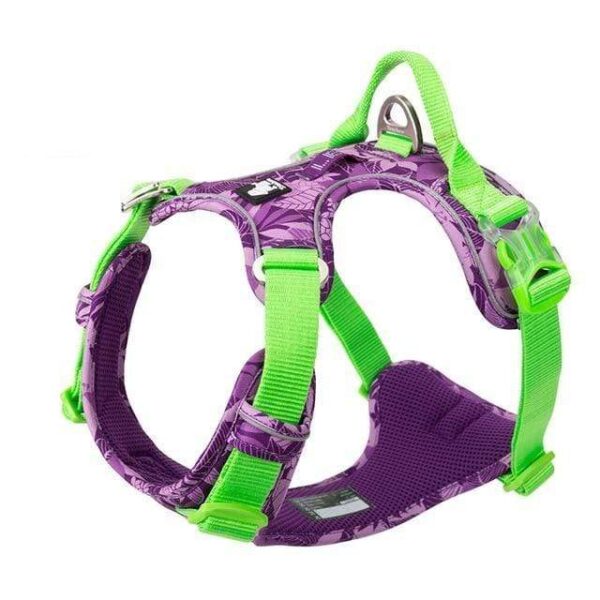 Frenchie World Shop Purple dog harness / XL 81-107cm chest / China Orthopedic No-pull French Bulldog Harness