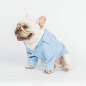 Frenchie World Shop Oxford Dog Shirt