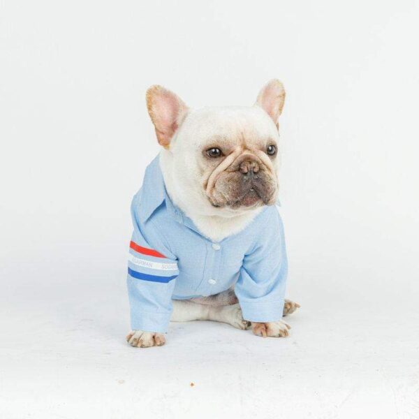 Frenchie World Shop Oxford Dog Shirt