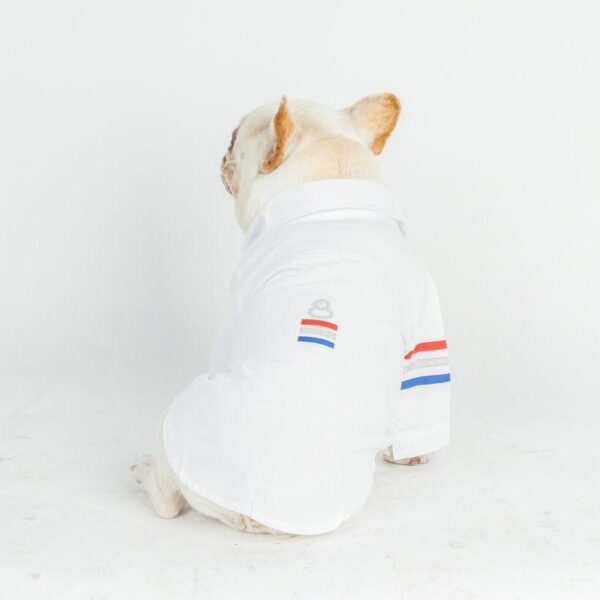 Frenchie World Shop Oxford Dog Shirt