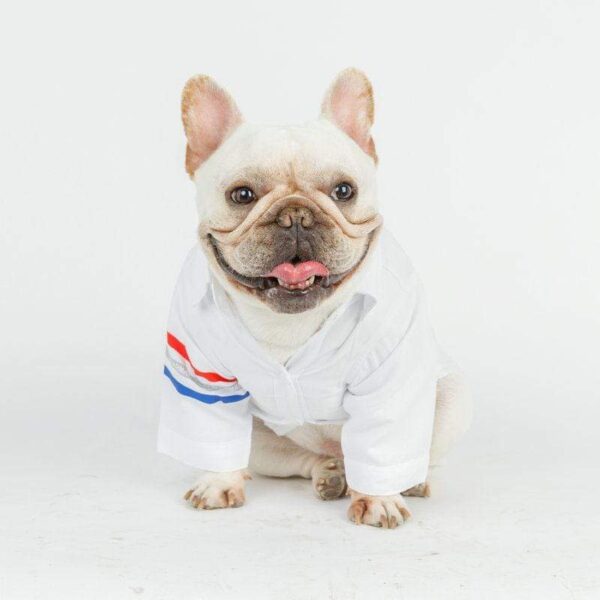 Frenchie World Shop Oxford Dog Shirt