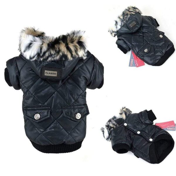 Frenchie World Shop Padded Winter Jacket with Fur Hood