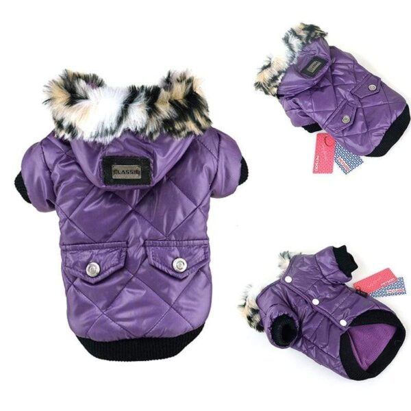 Frenchie World Shop Padded Winter Jacket with Fur Hood