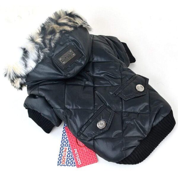Frenchie World Shop Padded Winter Jacket with Fur Hood