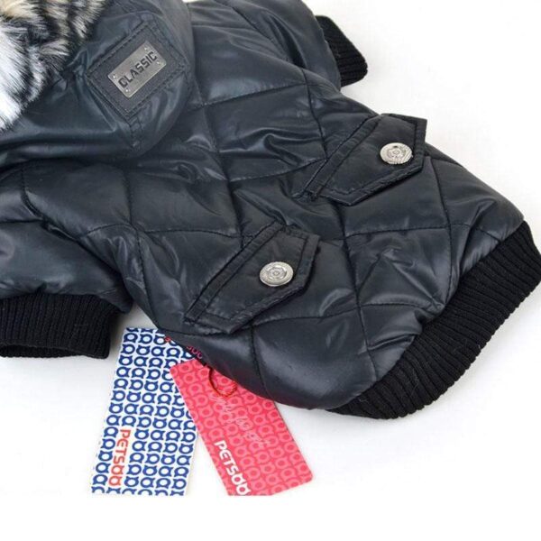 Frenchie World Shop Padded Winter Jacket with Fur Hood