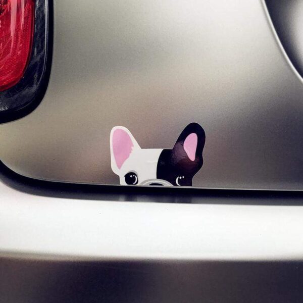 Frenchie World Shop Peeking Frenchie car sticker