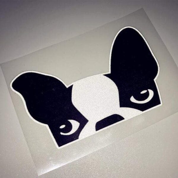 Frenchie World Shop Peeking Frenchie car sticker