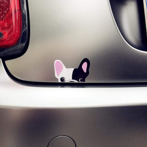 Frenchie World Shop Peeking Frenchie car sticker