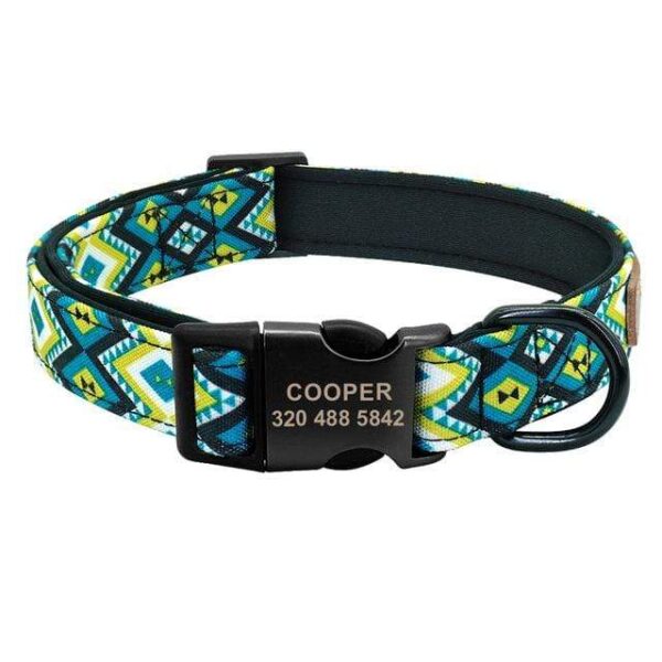 Frenchie World Shop Blue Collar / S Personalized Dog Collar With Matching Leash