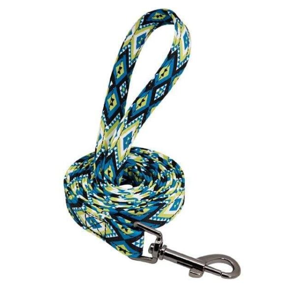 Frenchie World Shop Blue Leash / S Personalized Dog Collar With Matching Leash