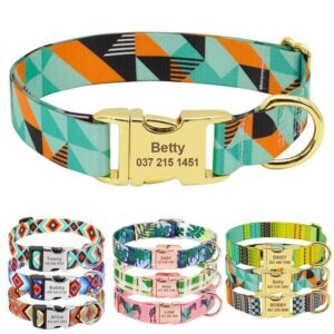 Frenchie World Shop collars Personalized Geometric French Bulldog Collar