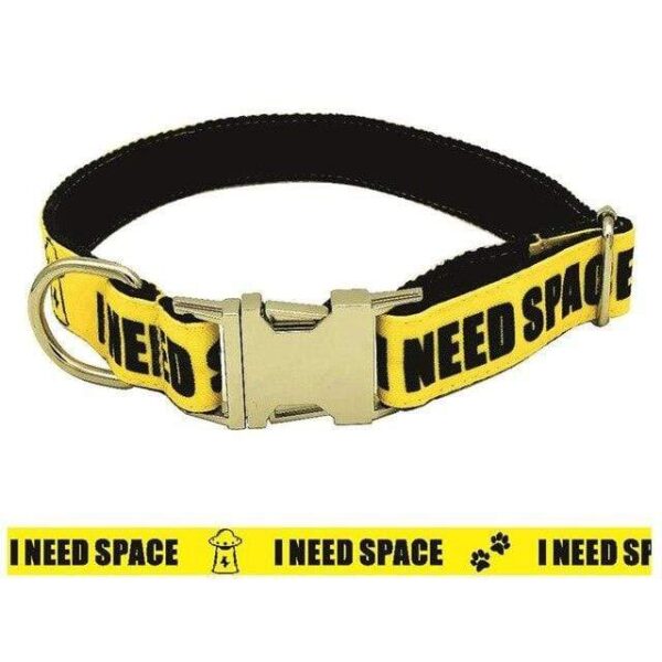 Frenchie World Shop I NEED SPACE / S Personalized Warning Sign Dog Collar