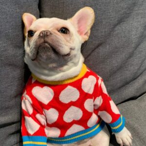 Frenchie World Shop Pet clothes heart-shaped dog cat French bulldog Teddy Schnauzer small dog autumn and winter warm sweater