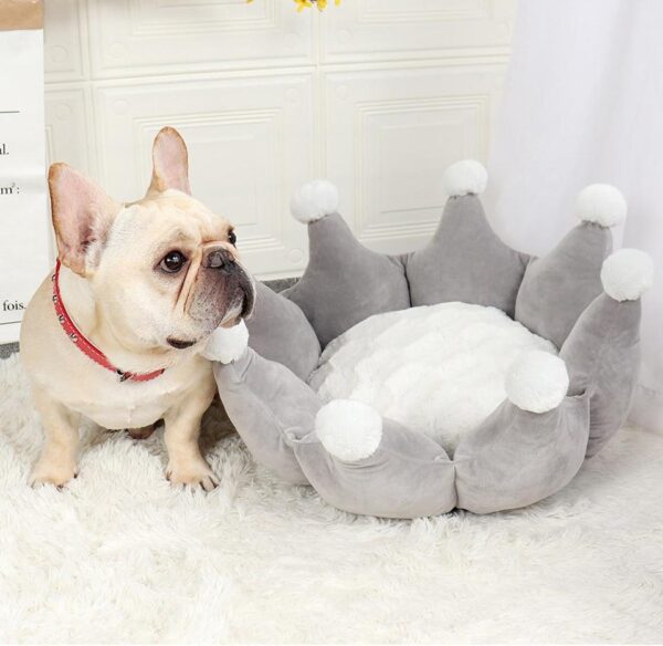 Frenchie World Shop Pet Dog Bed Fashion Crown Super Soft Cat Bed Luxury Dog Sofa Cat And Dog Accessories Comfortable Cat House Pet Bed Supplies