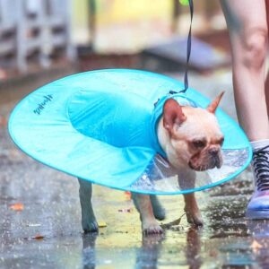 Frenchie World Shop Sky Blue / S Pet Dog Raincoat