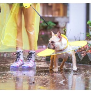 Frenchie World Shop Yellow / S Pet Dog Raincoat