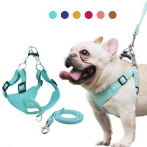 Frenchie World Shop Pet Dog Reflective Harness Vest Cute Harness And Leash Set  For Small Medium Dogs Puppy French Bulldog Pug Accesorios Para Gatos