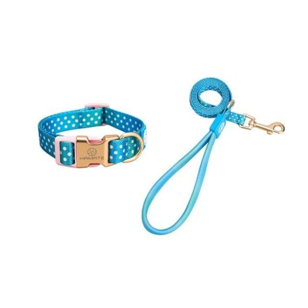 Frenchie World Shop Collar Set-Blue / M Pets Puppy Accessories French Bulldog Chest Collar Dots Belt Pectoral Breastplate Medium Dog Harness Leash Walks for Pet Dogs