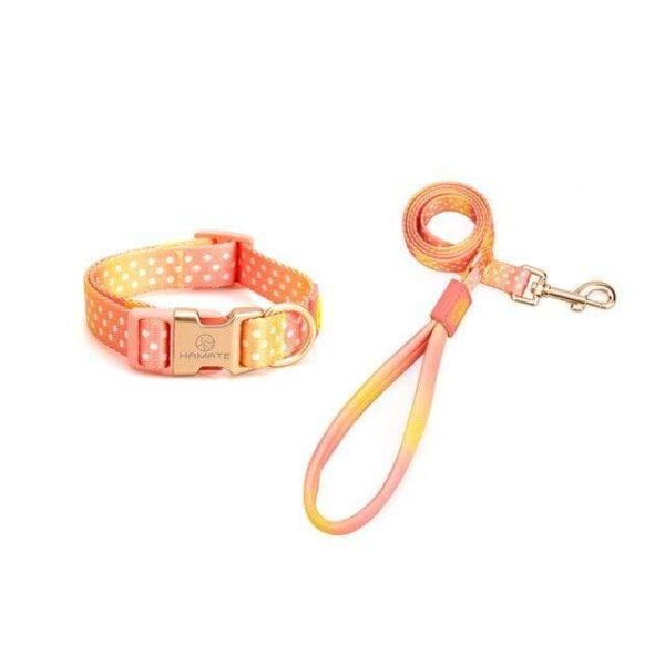 Frenchie World Shop Collar Set-Orange / S Pets Puppy Accessories French Bulldog Chest Collar Dots Belt Pectoral Breastplate Medium Dog Harness Leash Walks for Pet Dogs