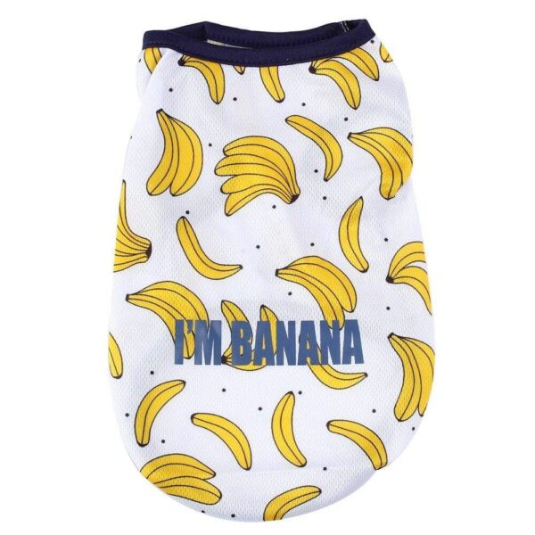 Frenchie World Shop Banana Boy / XL / CHINA Pineapple Summer Frenchie Shirt and Skirt