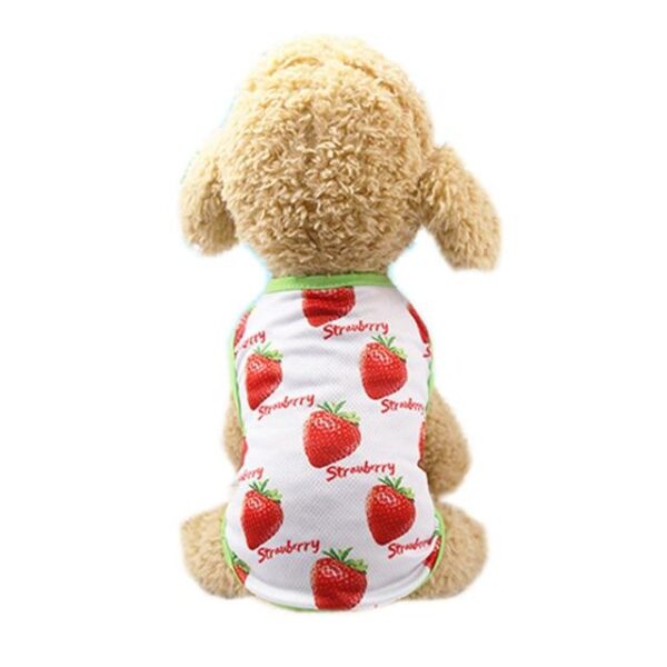 Frenchie World Shop Strawberry Boy / M / CHINA Pineapple Summer Frenchie Shirt and Skirt